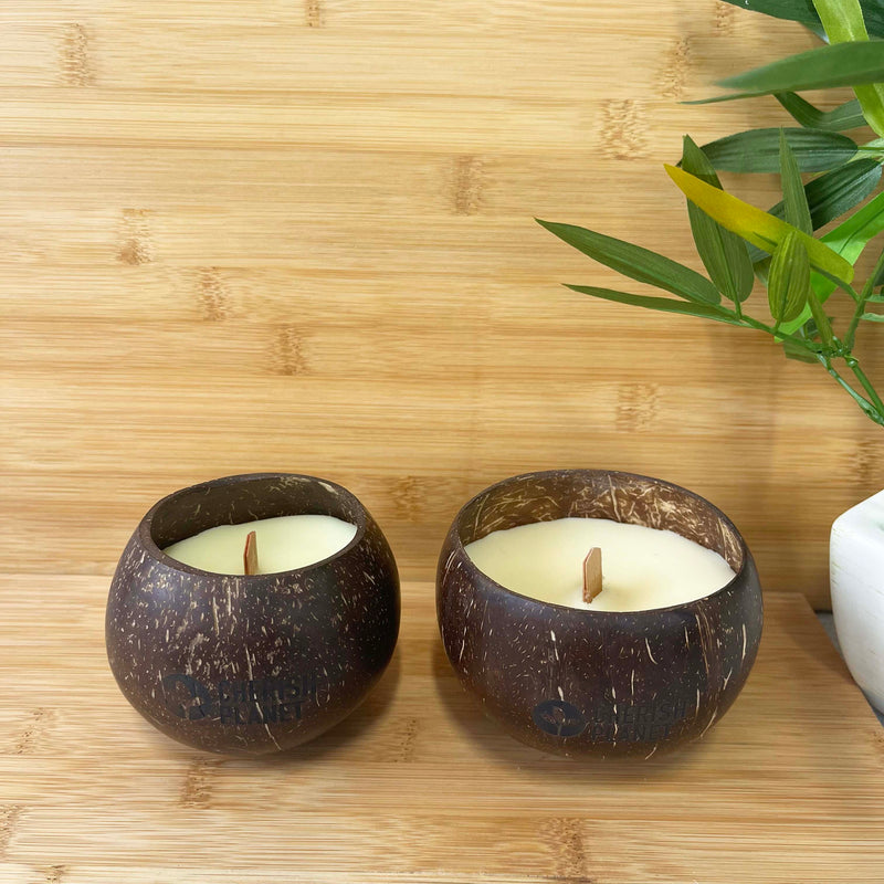 Sandalwood Coconut Shell Candle | Soy Wax Eco Candle – Tango Group